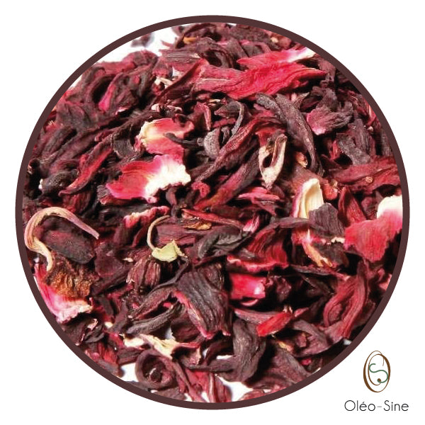 Fleurs hibiscus AB PRO