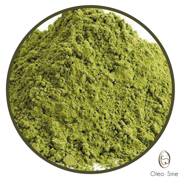 Poudre de moringa AB PRO